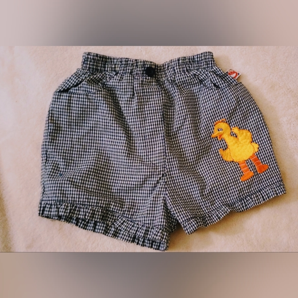 Gingham Big Bird Shorts Set